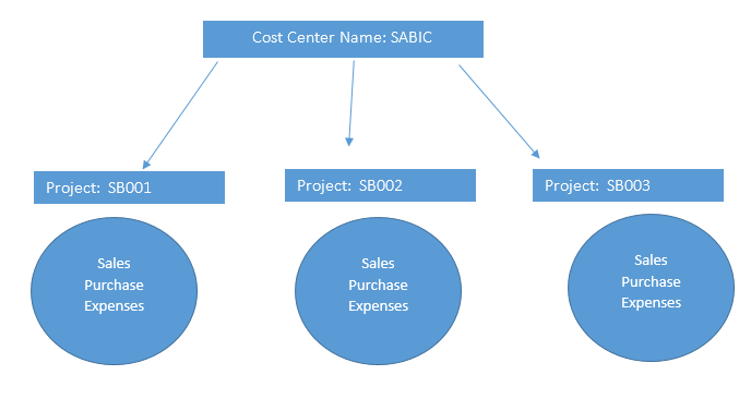 Cost Centers and Projects